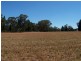 Lot 105 Whitewood Road, Dubbo NSW 2830