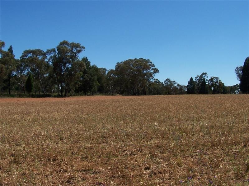 Lot 105 Whitewood Road, Dubbo NSW 2830