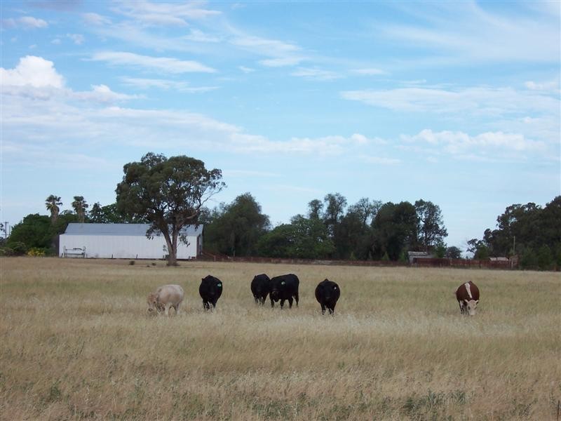 Lot 205 Coakers Road, Dubbo NSW 2830