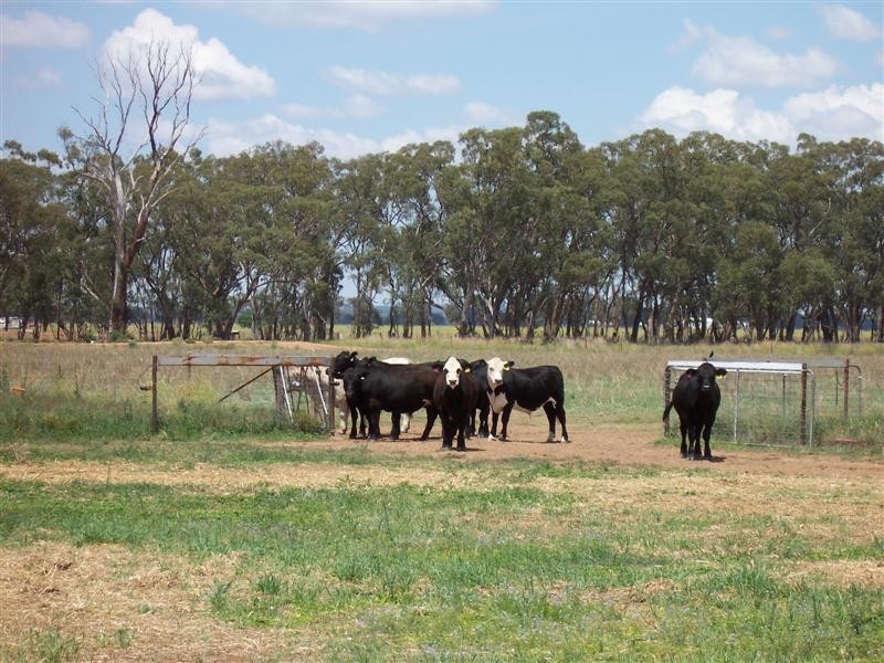 14R Coakers Road, Dubbo NSW 2830