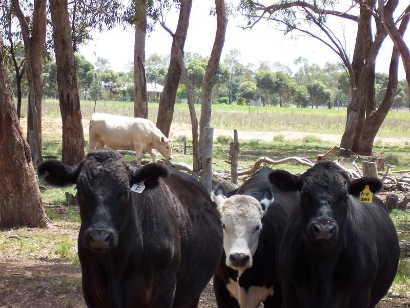 14R Coakers Road, Dubbo NSW 2830