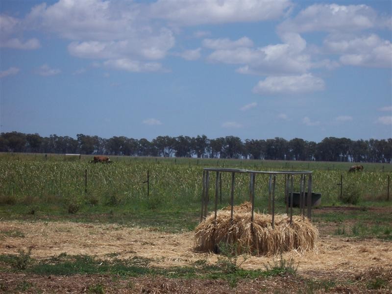 14R Coakers Road, Dubbo NSW 2830