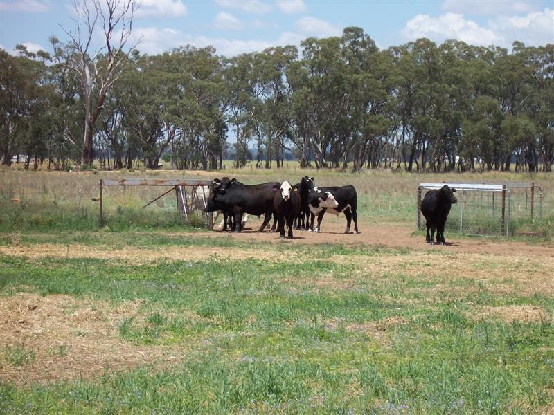 14R Coakers Road, Dubbo NSW 2830