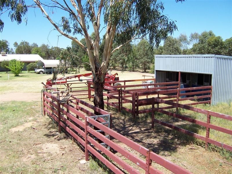 14R Coakers Road, Dubbo NSW 2830