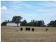 Lot 205 Coakers Road, Dubbo NSW 2830