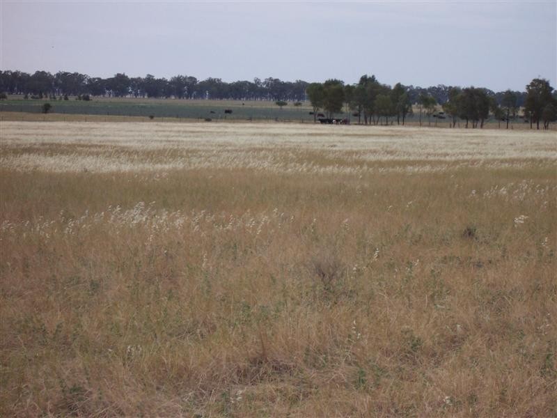 Lot 205 Coakers Road, Dubbo NSW 2830