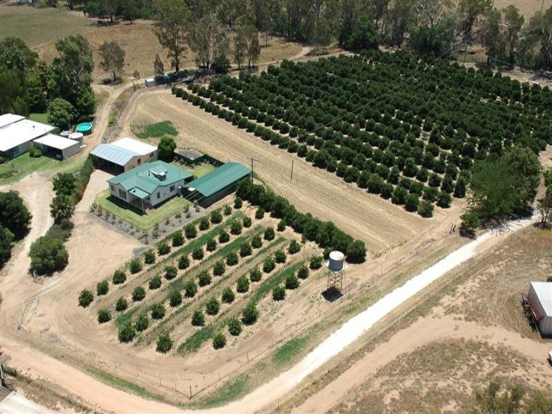 “Green Gin Gin, Trangie NSW 2823