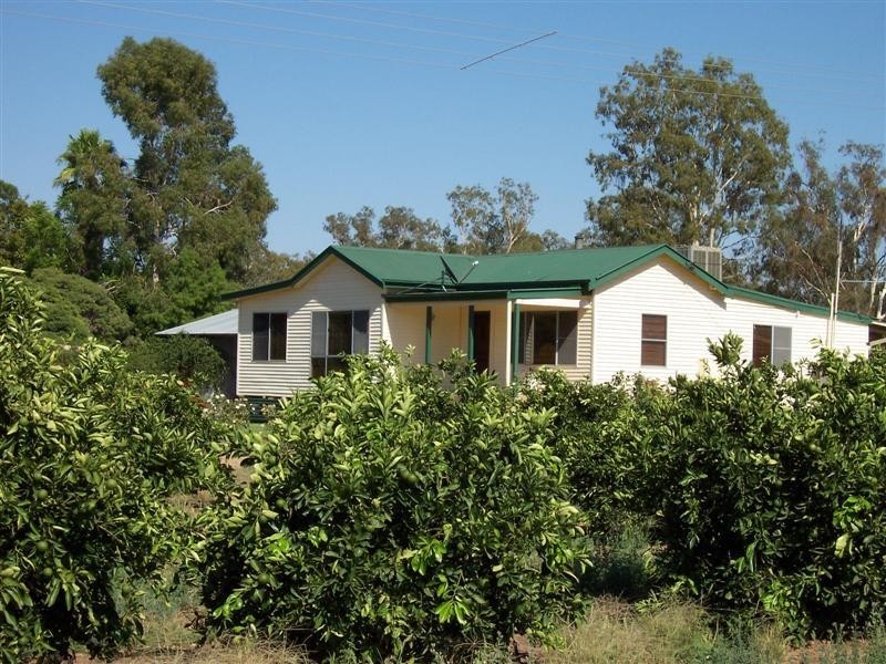 “Green Gin Gin, Trangie NSW 2823