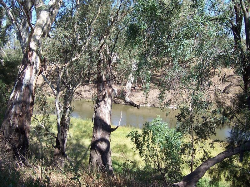 “Green Gin Gin, Trangie NSW 2823