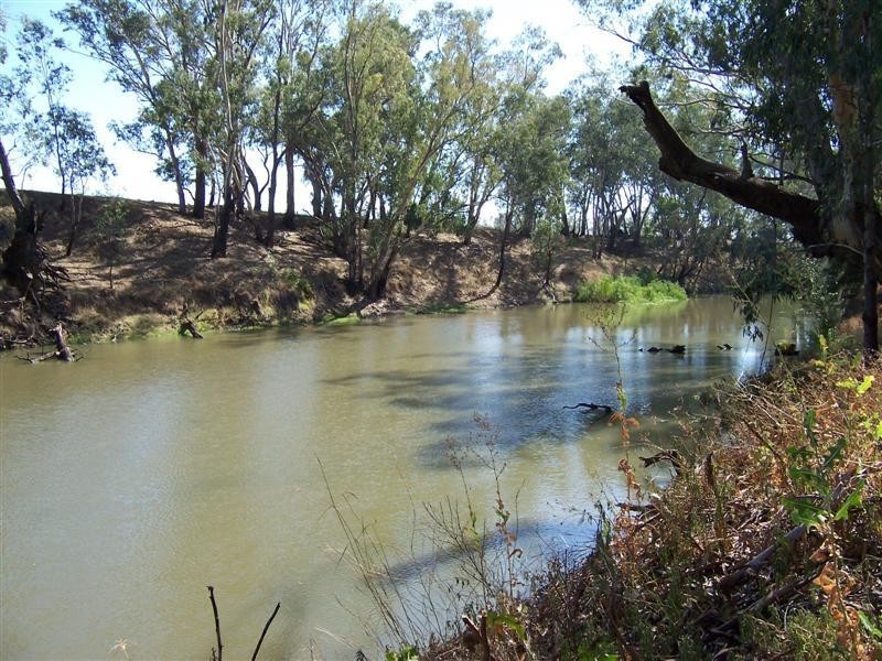 “Green Gin Gin, Trangie NSW 2823