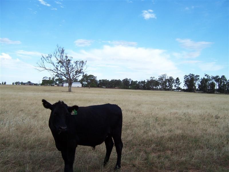 Lot 205 Coakers Road, Dubbo NSW 2830