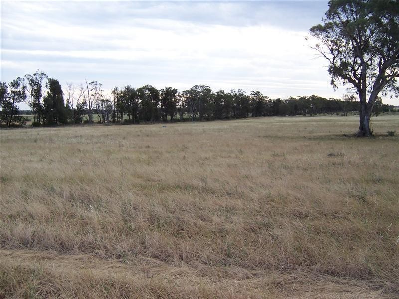 Lot 205 Coakers Road, Dubbo NSW 2830