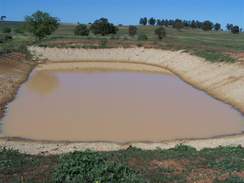 604 Comobella Road, Geurie NSW 2831