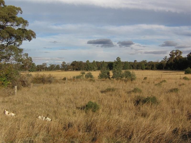 Lot 84 Barbigal Street, Elong Elong NSW 2831