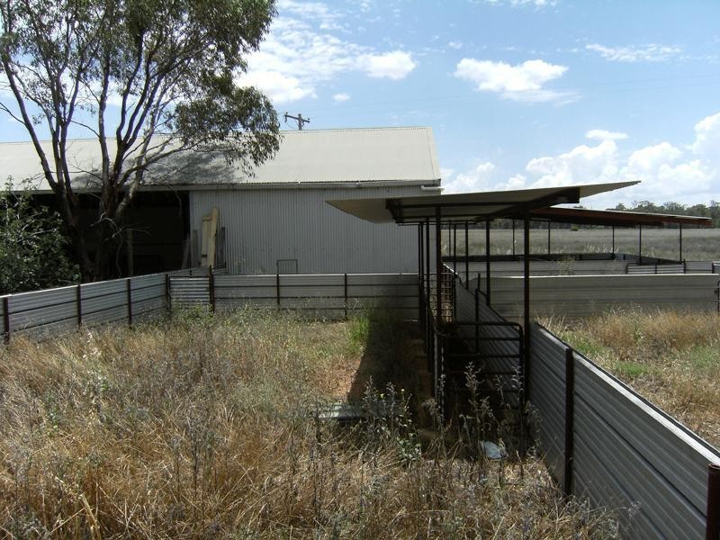 65L Peak Hill Road, Dubbo NSW 2830