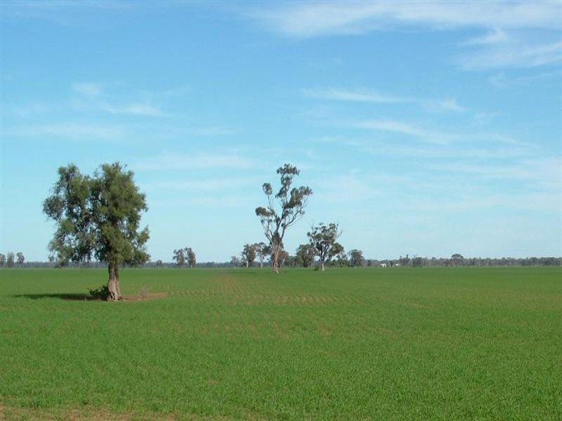 “KOLONGA” TEROWIE Road, Narromine NSW 2821