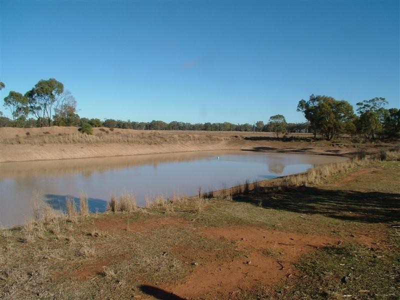 “KOLONGA” TEROWIE Road, Narromine NSW 2821
