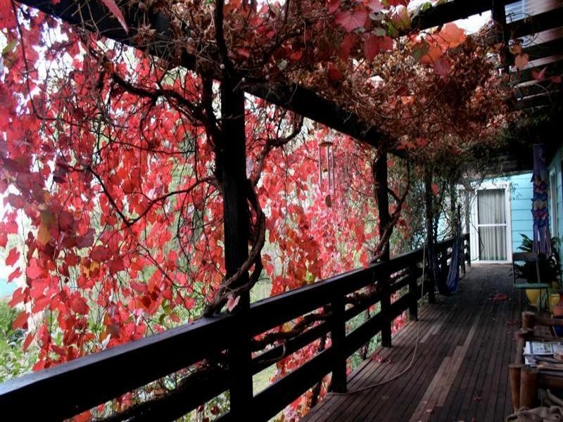 57 Mitchell Street, Geurie NSW 2831