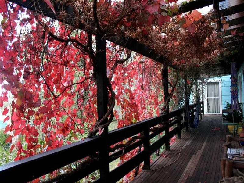 57 Mitchell Street, Geurie NSW 2831