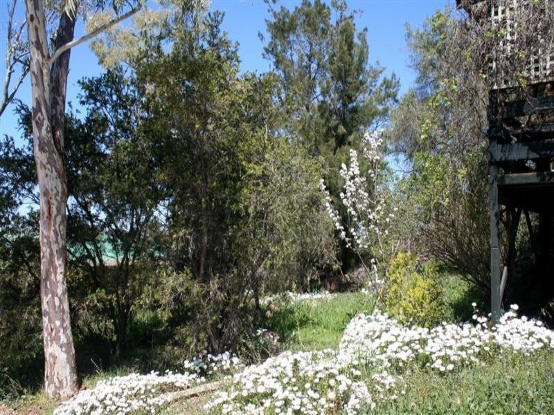 57 Mitchell Street, Geurie NSW 2831