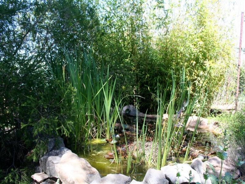 57 Mitchell Street, Geurie NSW 2831