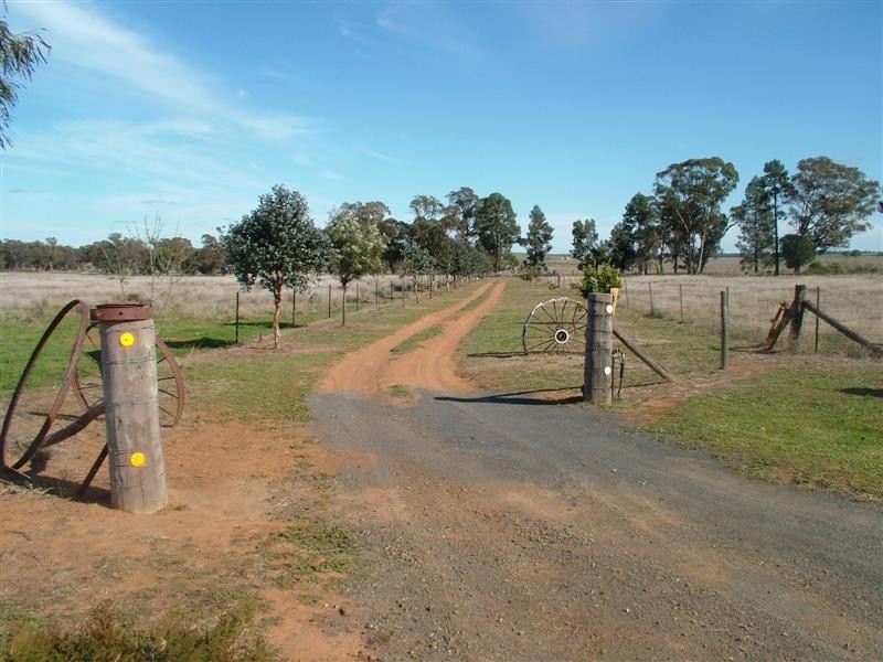 Lot 1 Old Dubbo Road, Geurie NSW 2831