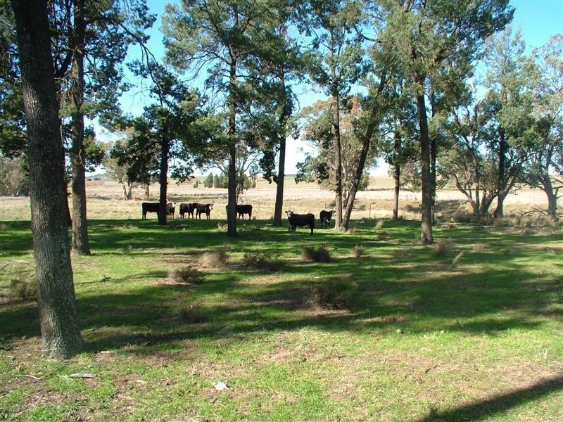 Lot 1 Old Dubbo Road, Geurie NSW 2831