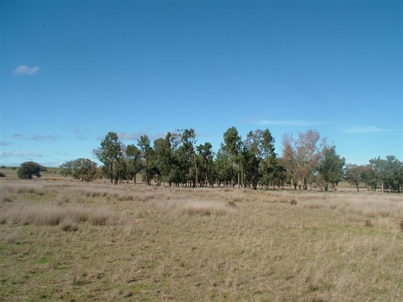 Lot 1 Old Dubbo Road, Geurie NSW 2831