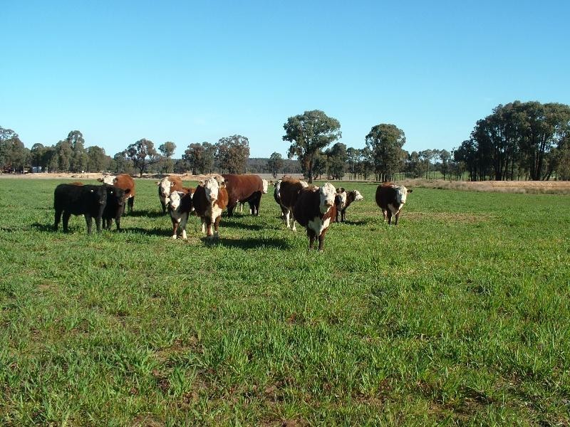 106L Mendooran Road, Dubbo NSW 2830