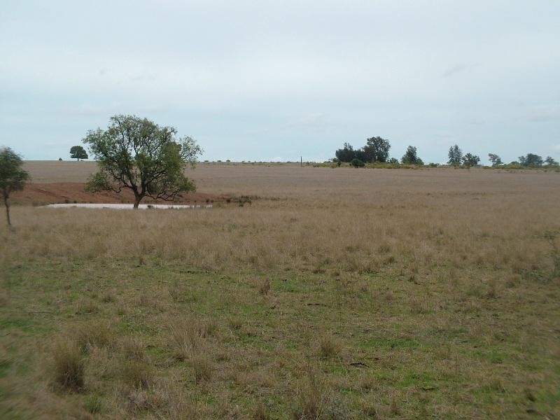 Lot 11 Old Mill Road, Eumungerie NSW 2831