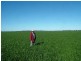 0 Marooba, Tottenham NSW 2873