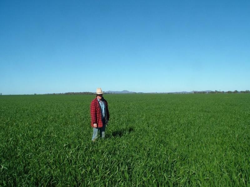 0 Marooba, Tottenham NSW 2873