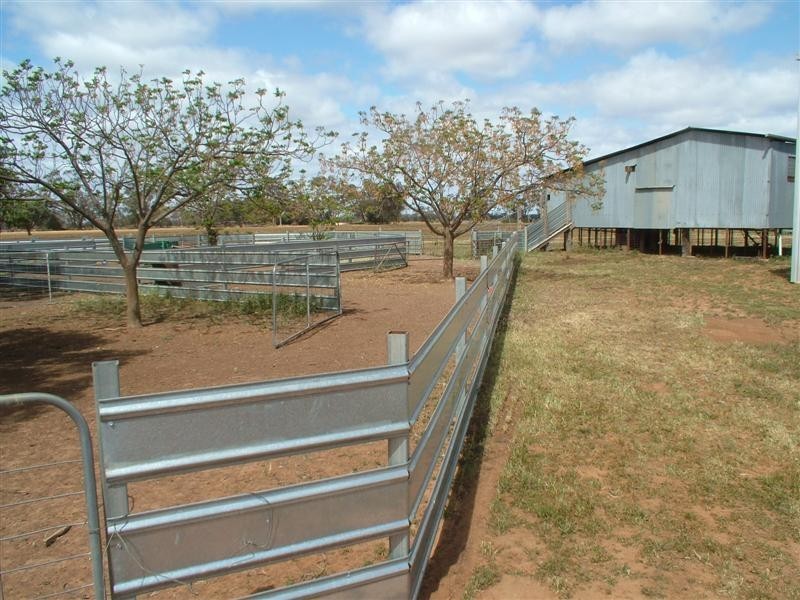 “Limavady” Wattlebank Lane, Tullamore NSW 2874