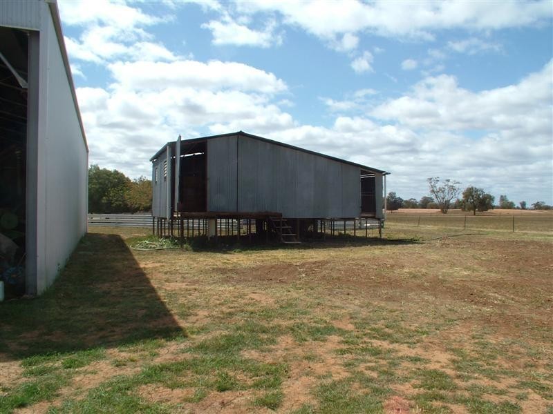 “Limavady” Wattlebank Lane, Tullamore NSW 2874