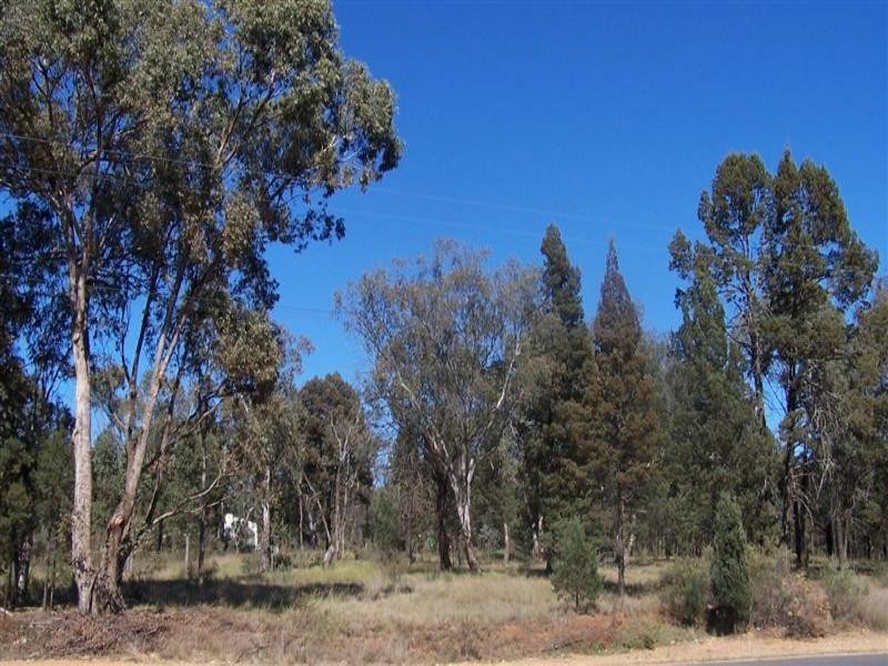 97-101 Wellington Street, Geurie NSW 2831