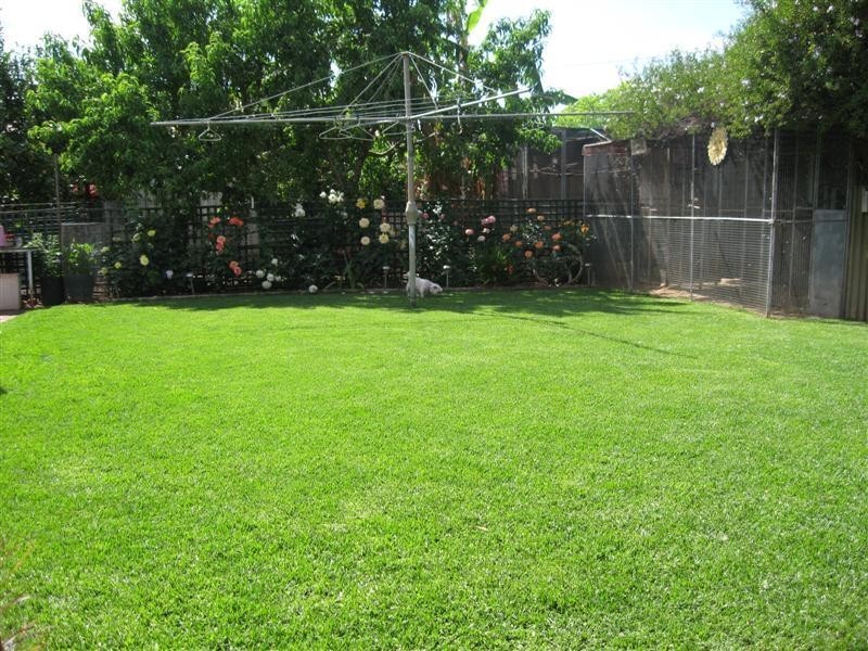 56 North Street, Dubbo NSW 2830