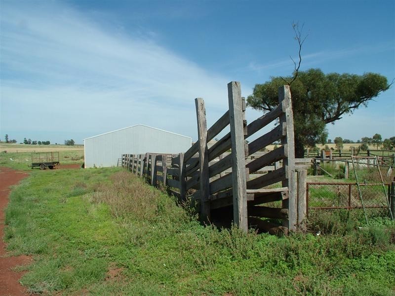 “Caledonia” Caledonia Road, Eumungerie NSW 2831