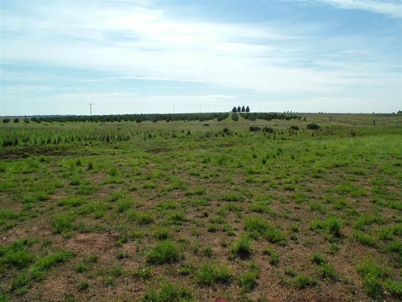 “CALEDONIA” CALEDONIA Road, Eumungerie NSW 2831