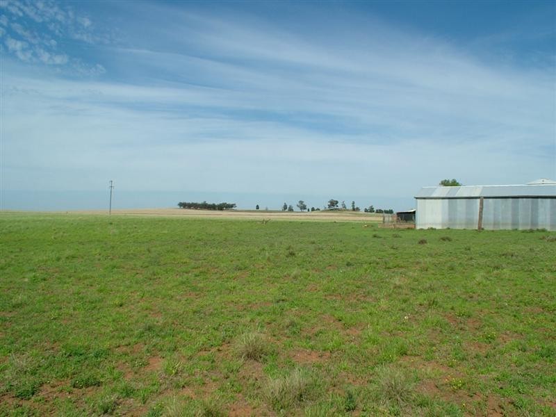 “CALEDONIA” CALEDONIA Road, Eumungerie NSW 2831