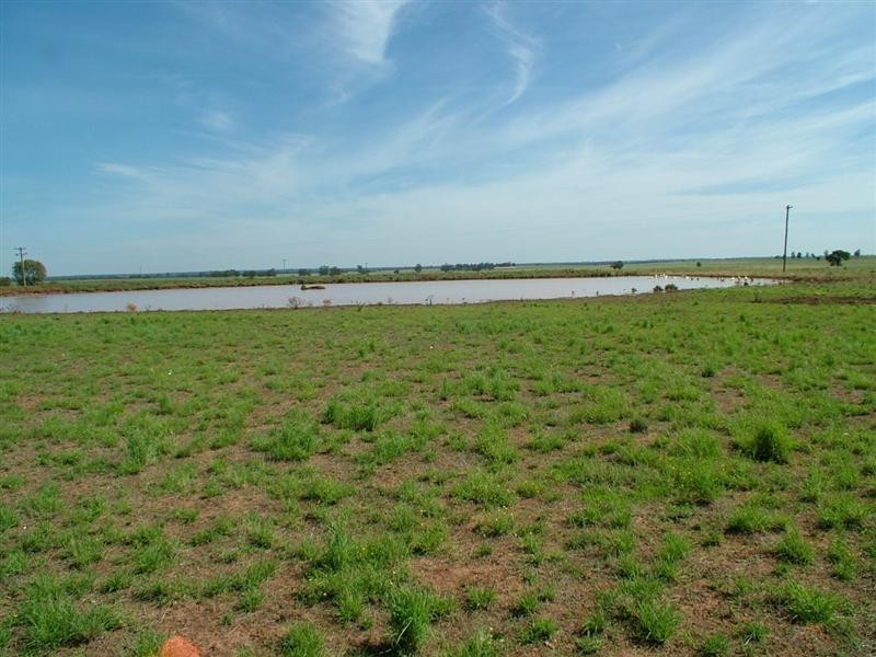 “CALEDONIA” CALEDONIA Road, Eumungerie NSW 2831