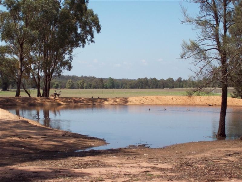 105L Mendooran Road, Dubbo NSW 2830