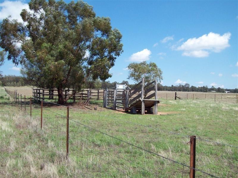105L MENDOORAN Road, Dubbo NSW 2830