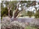 87 Brisbane Street, Dubbo NSW 2830