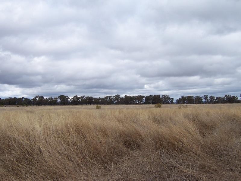 12L Dulcidene Road, Dubbo NSW 2830