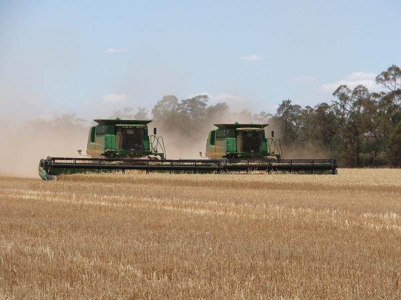 ‘Mogal Plain’, Tottenham NSW 2873