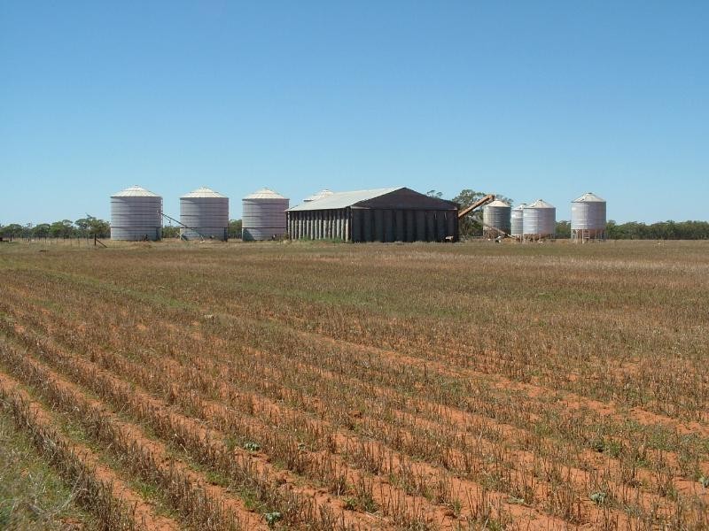 - ‘Mogal Plain’, Tottenham NSW 2873