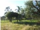 Lot 84 Barbigal Street, Elong Elong, Dubbo NSW 2830