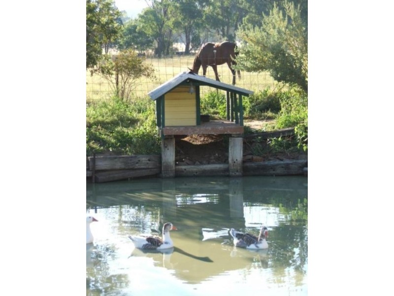 Lot 84 Barbigal Street, Elong Elong, Dubbo NSW 2830