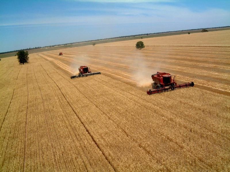 ‘Maranoa’ Merrinong Road, Collie NSW 2827