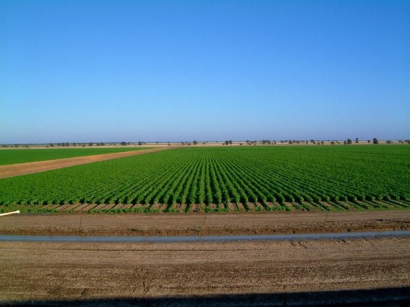 ‘Maranoa’ Merrinong Road, Collie NSW 2827